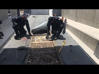 Policía Federal asegura armas largas y cartuchos en Sonora