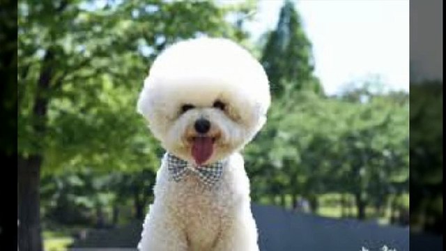 유성출장안마 010s2189s0407신용후불제 아가씨미팅후결제 유성출장마사지 최고미녀대기중 마인드최고 교육철저 유성출장맛사지 내상절대불가 수질최한 안전한신용후불제 20대아가씨대기중 극한수위 특별한서비스