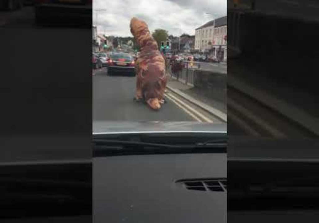 Dino Cyclist Navigates Traffic in Northern Ireland