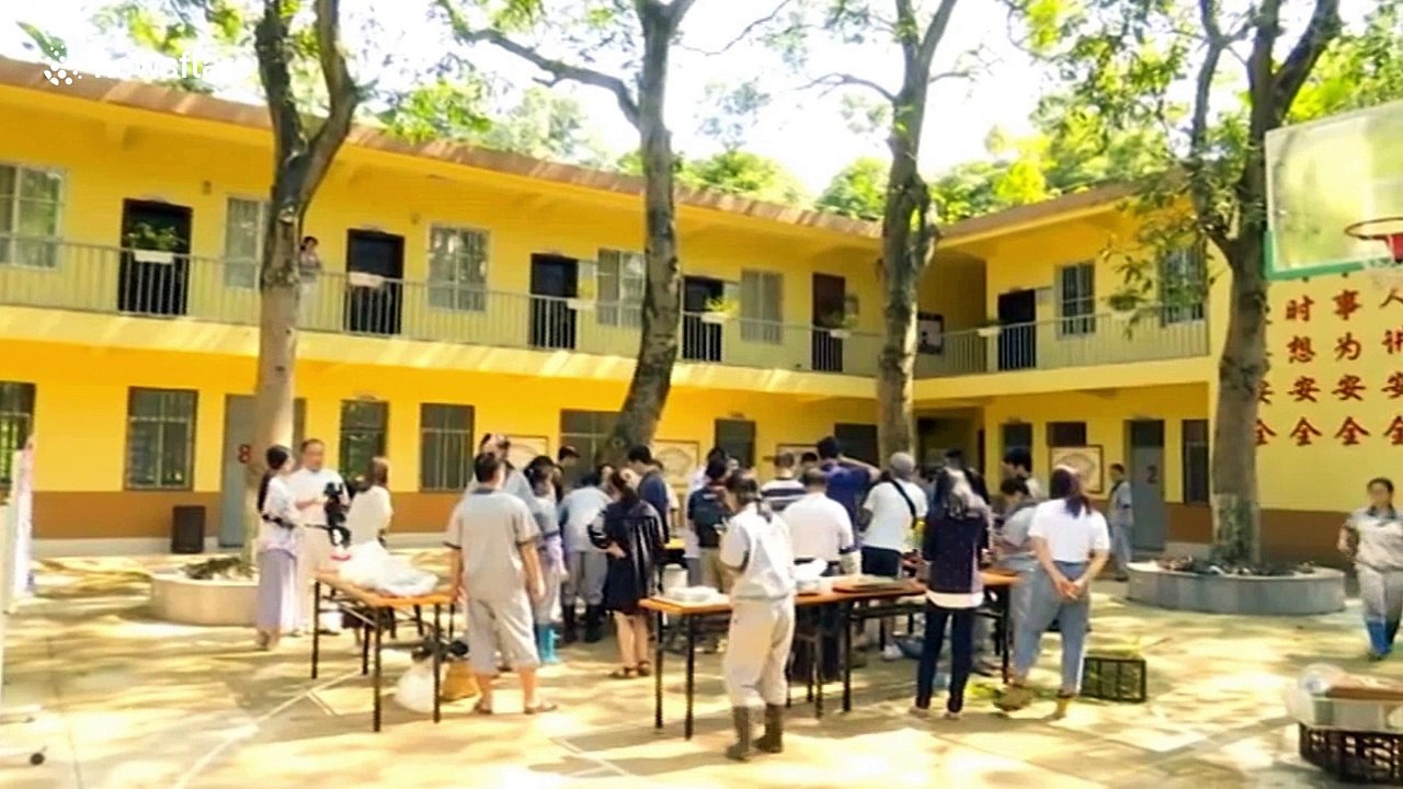 Zookeepers make special festival mooncakes for animals
