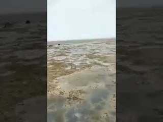 Playa en Long Island, Bahamas, se queda sin mar