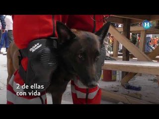 Sismo CDMX: Terminan labores de rescate en fábrica de Chimalpopoca