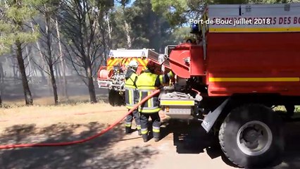 LA QUOTIDIENNE - L'INVITÉ : LQMT L'invité : Colonnel Gragory Allione SDIS13