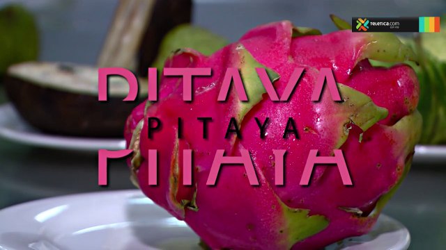 bd-atrevase-comer-frutas-criollas-240918