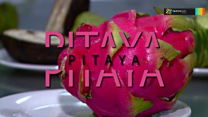 bd-atrevase-comer-frutas-criollas-240918