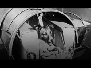 Se cumplen 60 años del viaje al espacio de Laika