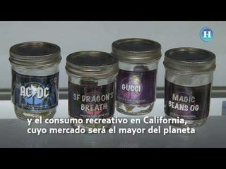 Legalizan la marihuana recreativa en California