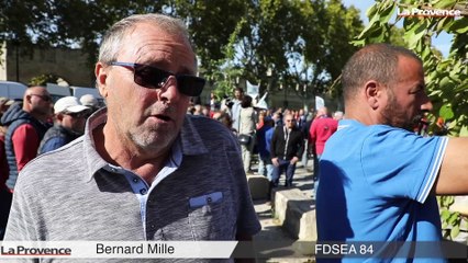 Trois cents agriculteurs provençaux manifestent à Avignon