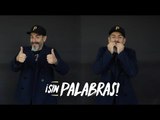 Aquí les presentamos: Sin Palabras