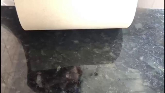 Ética e carreira: Responsabilidade pessoal sobre a construção e gestão da carreira