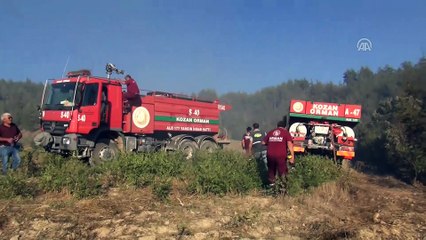 Kozan'da orman yangını (2) - ADANA