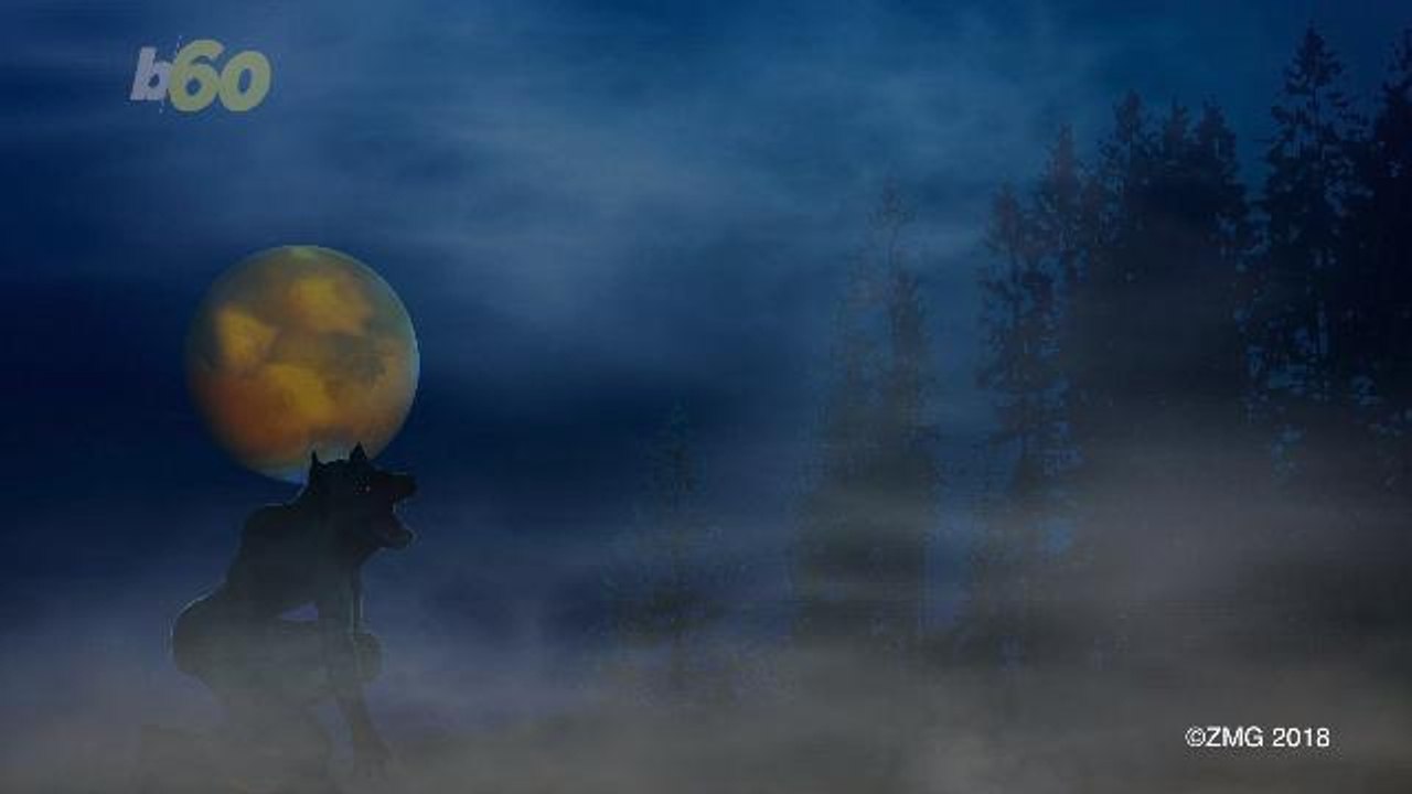 Does A Full Moon Cause a Rise in Crime?