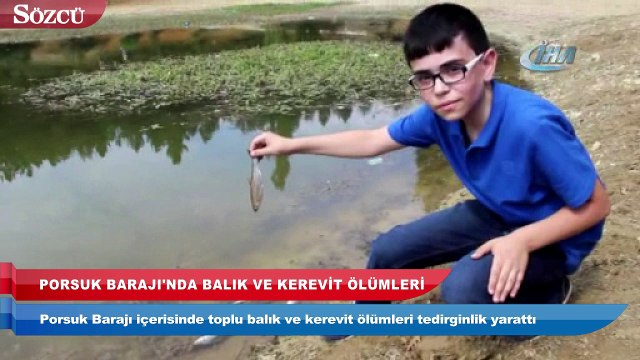 Porsuk Barajı’nda balık ve kerevit ölümleri