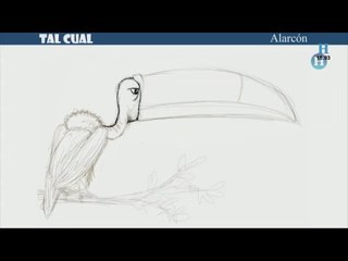 Emisión en directo de El Heraldo Noticias.