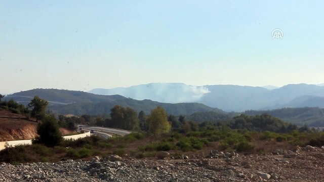Suriye sınırında orman yangını - HATAY
