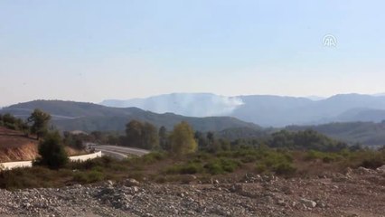 Suriye Sınırında Orman Yangını