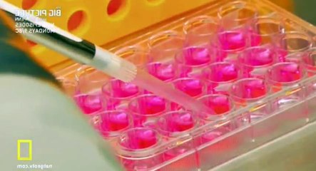 The Big Picture With Kal Penn S01 - Ep04 Going Viral HD Watch