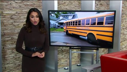 Child, Grandmother Struck by Car While Waiting at Bus Stop