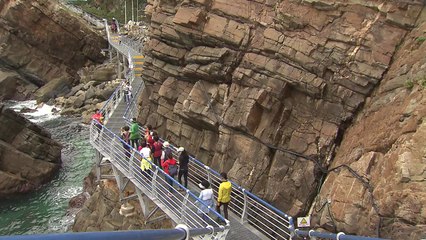 동해안 탐방로 조성 경쟁...환경 훼손 우려 / YTN