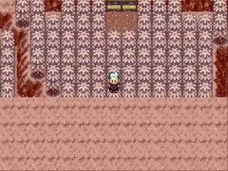 Pokemon emeraude code action replay 2