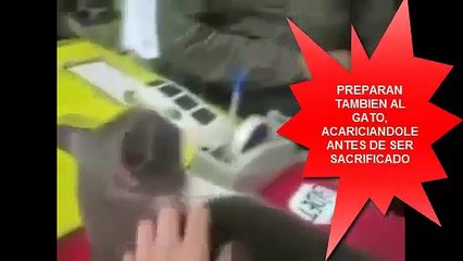 NTN24-51 Ciuadanos Colombianos fueron rescatados de chile ...