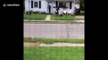 Women pulls window off house, is beaten to ground by owner