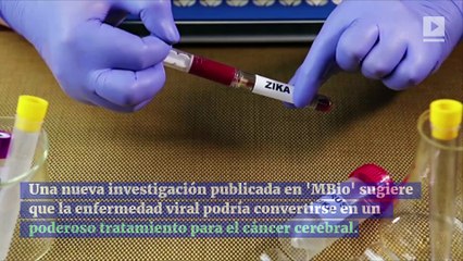 Científicos quieren usar el virus del Zika para combatir el cáncer de cerebro