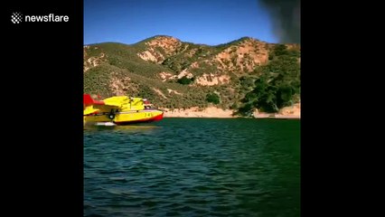 Video shows Super Scooper aircraft picking up water to fight Charlie Fire