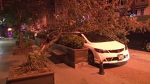 Şiddetli Rüzgar, Ağacı Lüks Otomobilin Üstüne Devirdi