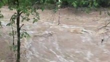 Creek Rages in Alexandria, Tennessee, Amid Flash Flood Warning