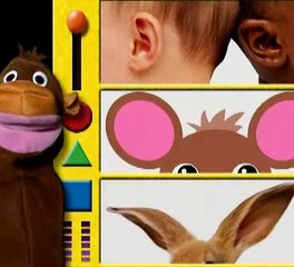 Baby Einstein 24 - Baby DaVinci - From Head To Toe (06mos)