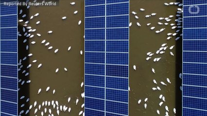 U.S., China Impose Fresh Tariffs