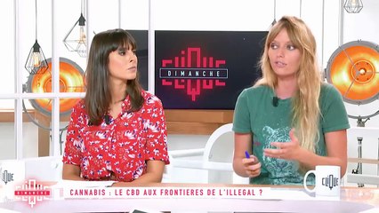 Cannabis  le CBD aux frontières de l'illégal  - Clique du 2309 - CANAL