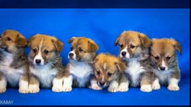 유성출장안마 010s2697s8303 신용후불제 유성출장마사지 최고미녀대기중 마인드최고 교육철저 유성출장맛사지 내상절대불가 수질최한 안전한신용후불제 20대아가씨대기중 극한수위 특별한서비스