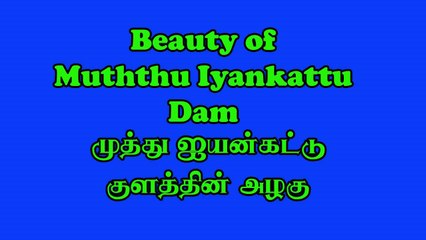 Muththu Iyankattu Dam-2018| Oddusuddan| Mullaitivu| Northern Province| Sri Lanka|