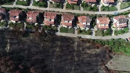 Lüks Villaların Yanında Küle Dönen Bursa'nın Ciğerleri Yeniden Yeşeriyor