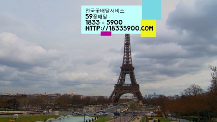 꽃배달서비스는 전국꽃배달 59꽃배달 주문전화 (1833 - 5900)