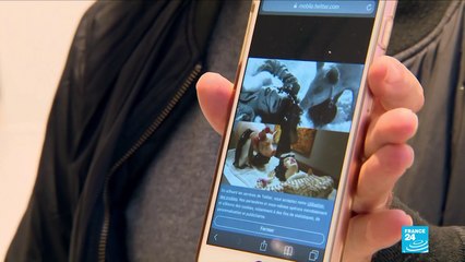 Jeff Koons, un plagiaire ?