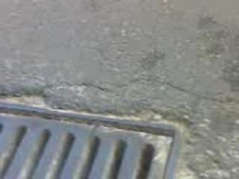 MOV00014