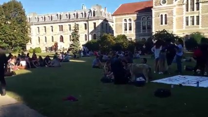Boğaziçi'nin ortasına neden çadır kurdular
