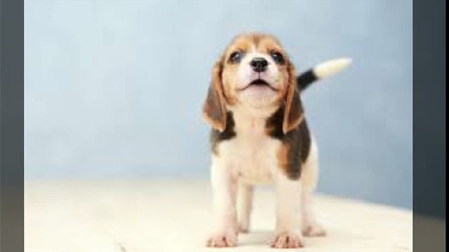 대전출장안마 010s7326s7786신용후불제 아가씨만남후 결제 대전출장마사지 최고미녀대기중 마인드최고 교육철저 대전출장맛사지 내상절대불가 수질최한 안전한신용후불제 20대아가씨대기중 극한수위 특별한서비스