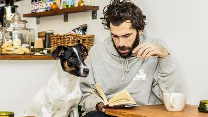 10 Most Dog-Friendly Cities in the U.S.