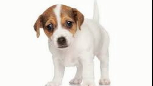 대전출장안마 010s4636s7917 아가씨미팅후결제 신용후불제 대전출장마사지 최고미녀대기중 마인드최고 교육철저 대전출장맛사지 내상절대불가 수질최한 안전한신용후불제 20대아가씨대기중 극한수위 특별한서비스