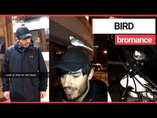 Bird joins man for a night out | SWNS TV