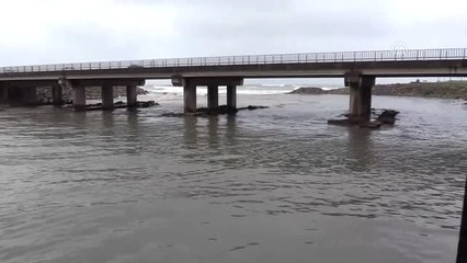 Kestane Karası Fırtınası"