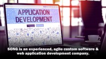 Custom Software & Web Application Development Company