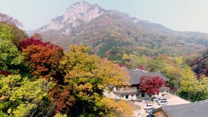 설악산부터 첫 단풍...내륙 단풍은 내달 중순 / YTN