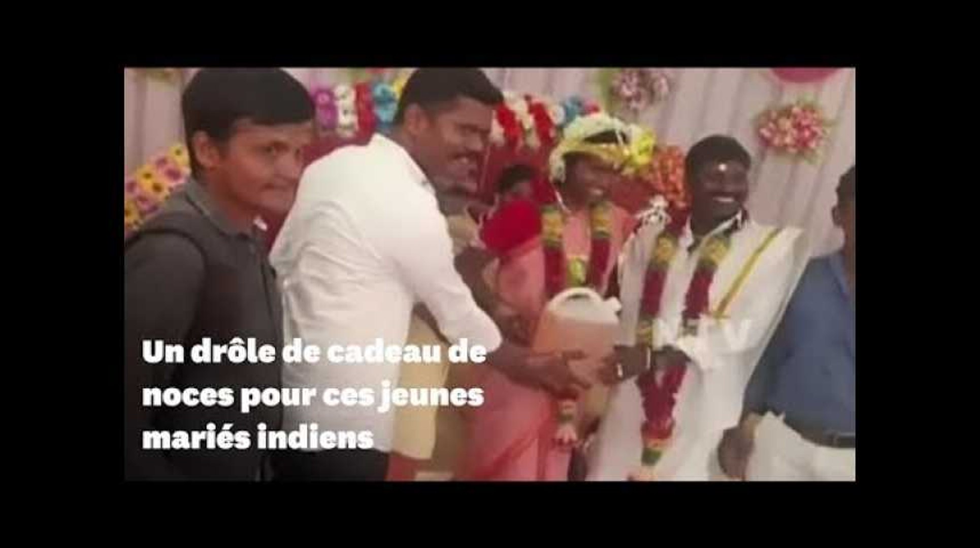 Ces jeunes mariés indiens ont reçu un drôle de cadeau de mariage - Vidéo  Dailymotion