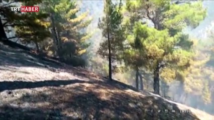 Yangından kurtarılan köpeğin yaralarını sağlık ekipleri sardı