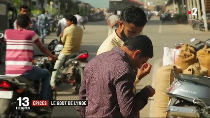 Feuilleton : Inde, la route des épices (2/5)